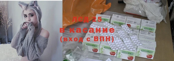 прущие грибы Аркадак