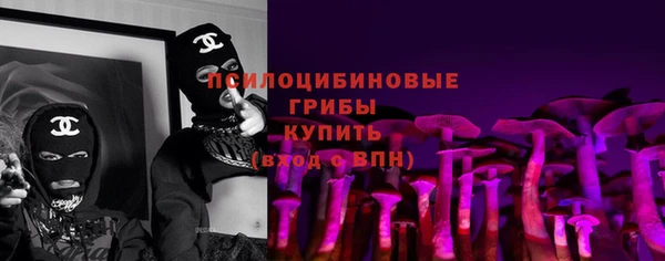 прущие грибы Аркадак