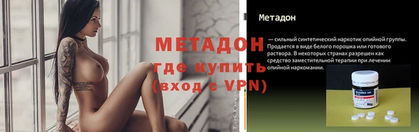прущие грибы Аркадак