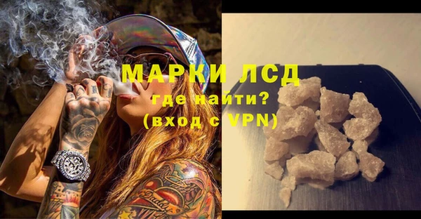 прущие грибы Кулебаки
