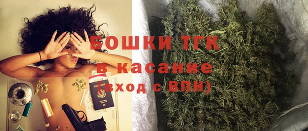 прущие грибы Аркадак