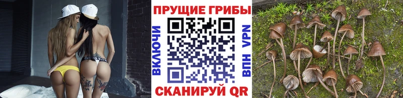 Галлюциногенные грибы ЛСД Купить где Любим